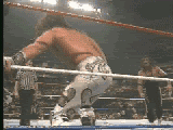 http://mob236.photobucket.com/albums/ff214/RaphaelWrestlingBrazil/WWE/SweetChinMusicdiHbkShawnMichaels.gif?t=1242023515